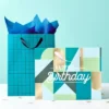 Large Birthday Gift Bag With Tissue Grid - Spritz™: Stripe Pattern, Black & Teal Blue, 12.75" X 10" X 5" -Bakerross Store GUEST 20c24e65 19d4 4a47 9924 65b714b2d1cb