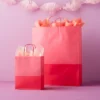 X-Large Gift Bag Pink Two Color Block - Spritz™ -Bakerross Store GUEST 5644bf51 051a 460f 9087 6146ea43559e 1