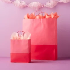Small Gift Bag Pink Two Color Block - Spritz™